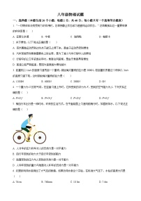山东省淄博市周村区2023－2024学年八年级下学期期中物理试题（原卷版+解析版）