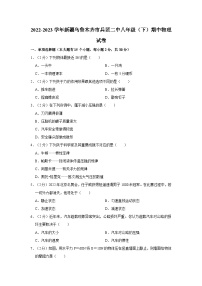 2022-2023学年新疆乌鲁木齐市兵团二中八年级（下）期中物理试卷