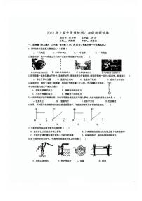 湖南省长沙市长沙县城区联考2021-2022学年八年级下学期期中考试物理试题