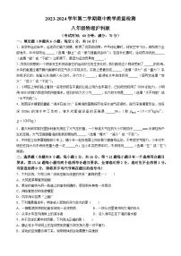 河南省周口市沈丘县2023-2024学年八年级下学期4月期中物理试题