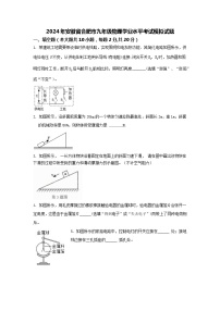 2024年安徽省合肥市九年级物理学业水平考试模拟试题