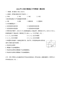 2024年上海市青浦区中考物理二模试卷（含解析）