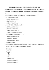 云南省楚雄州2023-2024学年八年级下学期期中物理试卷