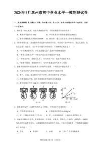 广东省惠州市惠阳区2024年4月初中学业水平一模物理试卷-