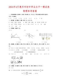 广东省惠州市惠阳区2024年4月初中学业水平一模物理试卷-答案