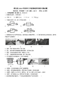 海南省省直辖县级行政单位澄迈县2023-2024学年八年级下学期4月期中物理试题(无答案)