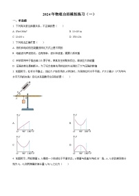 2024年山东省青岛滨海学校中考物理自招模拟题（一）（原卷版+解析版）