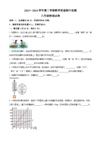 江西省赣州市崇义县2023-2024学年八年级下学期4月期中物理试题（原卷版+解析版）