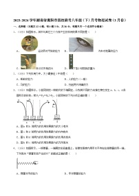 湖南省衡阳市四校联考2023-2024学年八年级下学期3月月考物理试题