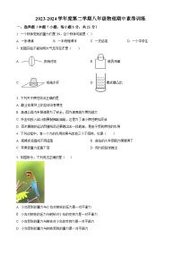 广东省汕头市金平区汕樟中学2023-2024学年八年级下学期4月期中物理试题（原卷版+解析版）