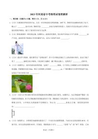 2023年河南省中考物理试卷附解析