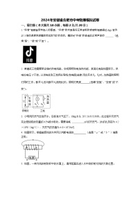 2024年安徽省合肥市中考物理模拟试卷