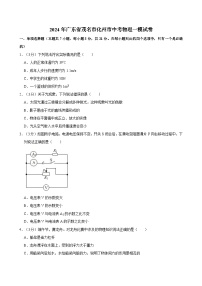 2024年广东省茂名市化州市中考物理一模试卷