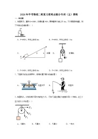 2024年中考物理二轮复习重难点提分专训（五）滑轮练习（含答案）