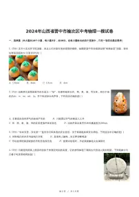 2024年山西省晋中市榆次区中考物理一模试卷