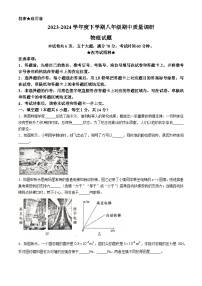 河南省信阳市平桥区2023-2024学年八年级下学期5月期中物理试题