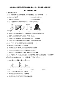 2024年甘肃省武威市凉州区武威二十五中联片教研中考三模物理试题