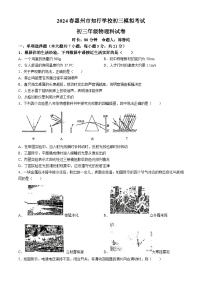 2024年广东省惠州市知行学校九年级中考物理一模试卷(无答案)