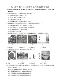 2024年四川省乐山市市中区中考适应性考试物理试题