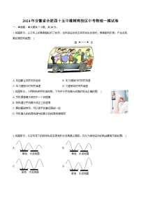 2024年安徽省合肥四十五中橡树湾校区中考物理一模试卷（含详细答案解析）