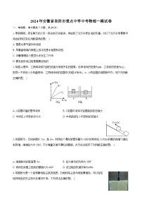 2024年安徽省阜阳市重点中学中考物理一模试卷（含详细答案解析）