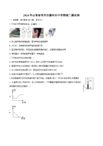 2024年山东省枣庄市滕州市中考物理二模试卷（含详细答案解析）