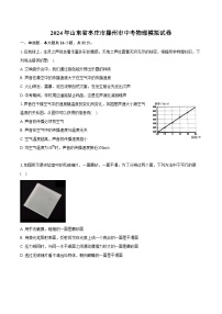 2024年山东省枣庄市滕州市中考物理模拟试卷（含详细答案解析）