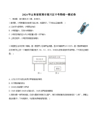 2024年山东省淄博市淄川区中考物理一模试卷（含详细答案解析）