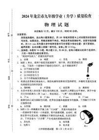 2024年福建省龙岩市中考二模物理试题