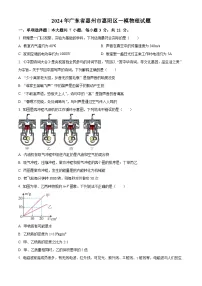 2024年广东省惠州市惠阳区中考一模物理试题（原卷版+解析版）