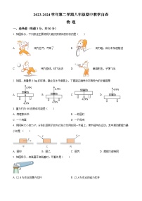 广东省东莞市某校2023-2024学年八年级下学期期中教学自查物理试卷（原卷版+解析版）