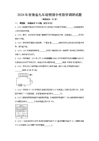 2024年安徽省九年级物理中考教学调研试题（含答案）