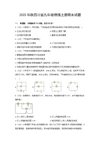 2023年秋四川省九年级物理上册期末试题（含选择题答案）