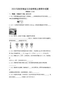 2023年秋安徽省九年级物理上册期中试题（含答案）