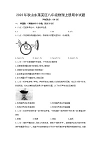 2023年秋山东莱芜区八年级物理上册期中试题（含答案）