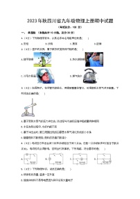 2023年秋四川省九年级物理上册期中试题（含选择题答案）