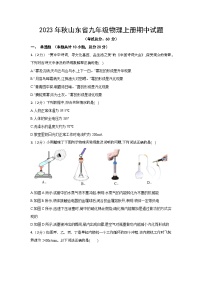 2023年秋山东省九年级物理上册期中试题（含答案）