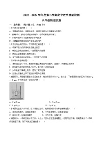 吉林省松原市长岭县2023—2024学年度下学期期中教学质量检测八年级物理试卷