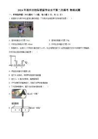 2024年广东省清远市连州市九校联考中考二模物理试题（原卷版+解析版）