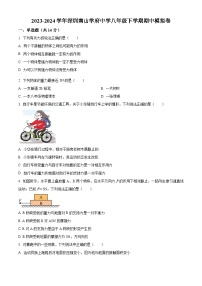 广东省深圳南山学府中学2023-2024学年八年级下学期期中模拟物理试题（原卷版+解析版）