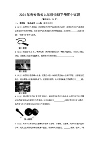 2024年春安徽省九年级物理下册期中试题（含答案）
