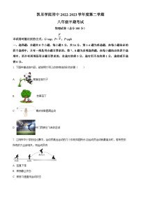贵州省凯里市凯里学院附属中学2023-2024学年下学期八年级期中考试物理试卷(1)（原卷版+解析版）