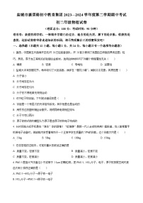 江苏省盐城市亭湖区康居路初中教育集团2023-2024学年八年级下学期4月期中物理试题（原卷版+解析版）