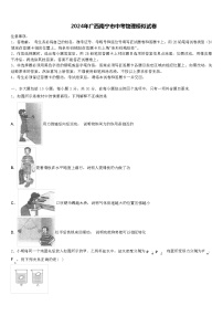 2024年广西南宁市中考物理模似试卷（解析版）