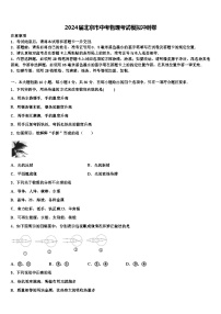 2024年北京市中考物理考试模拟冲刺卷