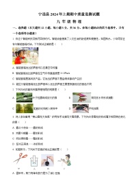 湖南省永州市宁远县2023-2024学年九年级下学期期中考试物理试题（原卷版+解析版）