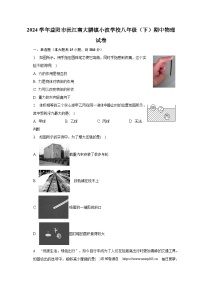 01，湖南省益阳市沅江市南大膳镇小波学校2023-2024学年八年级下学期4月期中物理试题