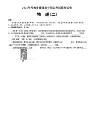 133，2024年河南省周口市川汇区周口市第一初级中学中考模拟预测物理试题