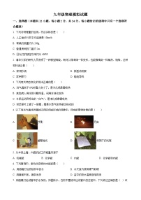 145， 2024年江苏省宿迁市泗阳县中考物理模拟题