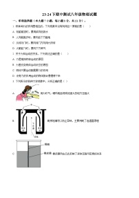 广东省江门市培英初级中学2023-2024学年八年级下学期期中考试物理试卷（原卷版+解析版）